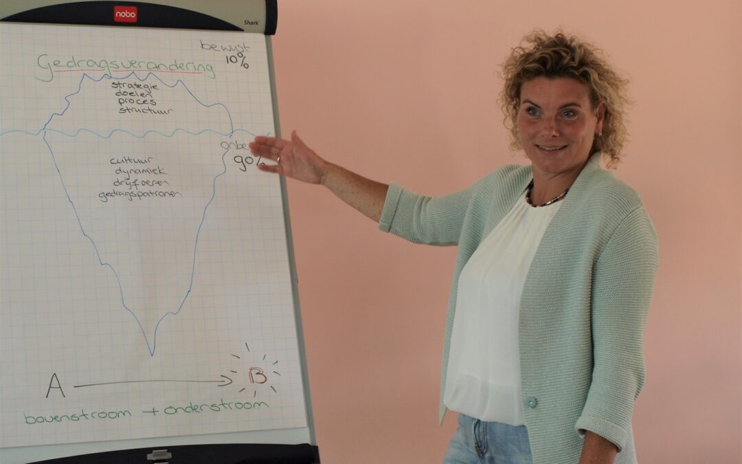 Roos Pegman bovenstroom en onderstroom in organisaties