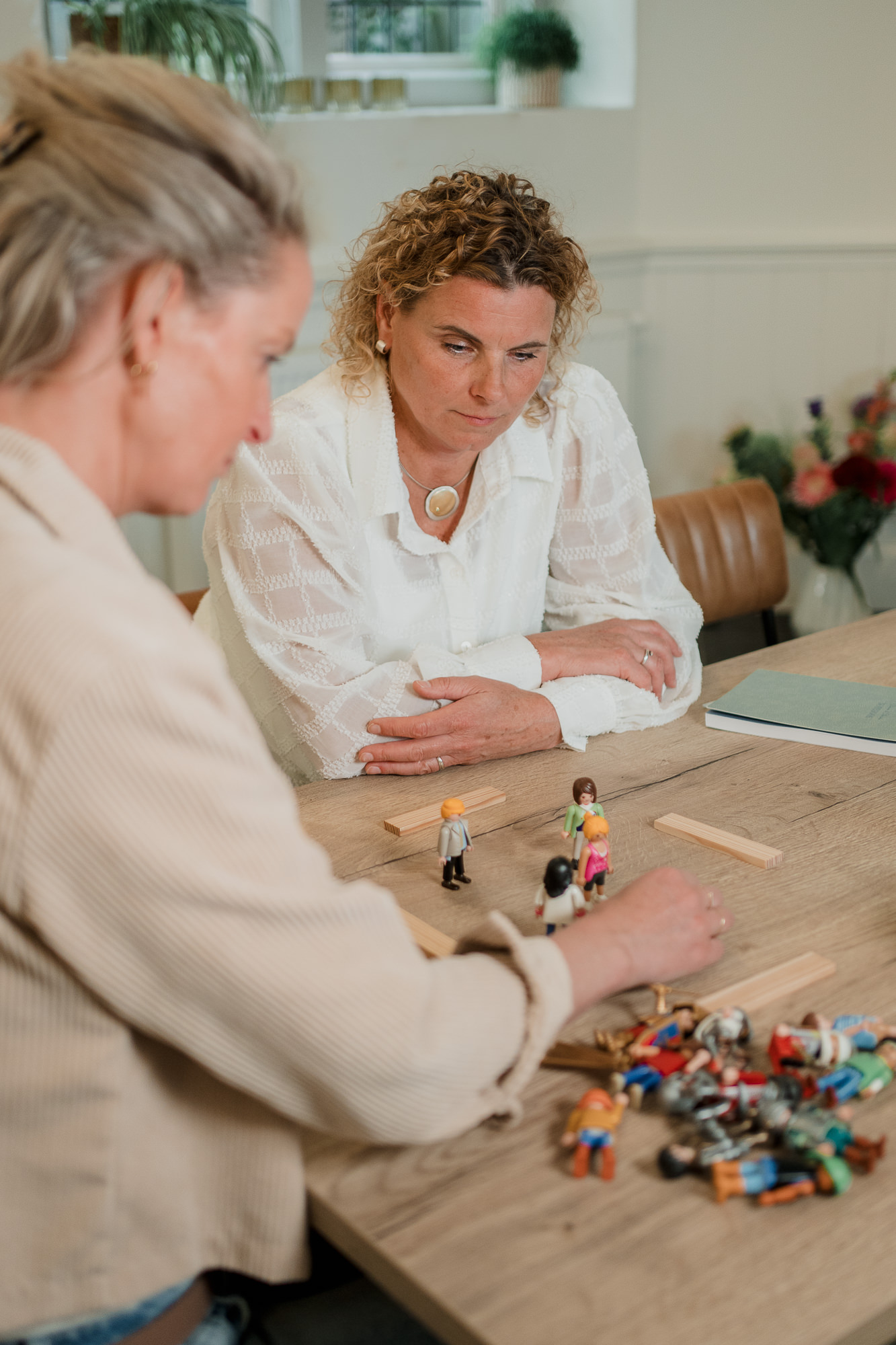 Systemisch coachen samenwerking team familiebedrijf verbeteren Roos Pegman