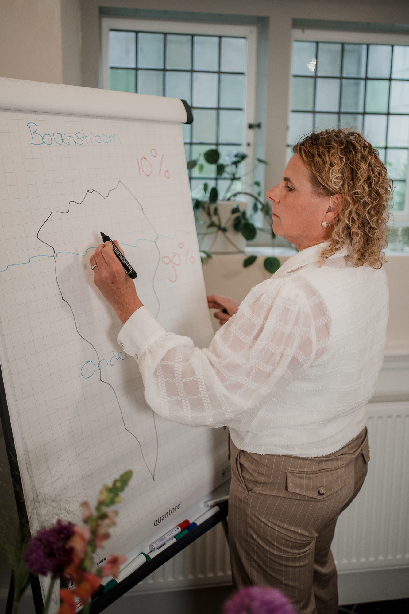 Systemische coaching Roos Pegman bovenstroom en onderstroom organisaties
